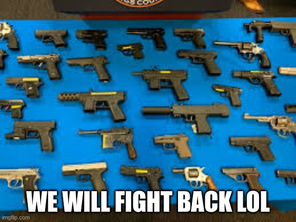 guns | WE WILL FIGHT BACK LOL | image tagged in guns | made w/ Imgflip meme maker