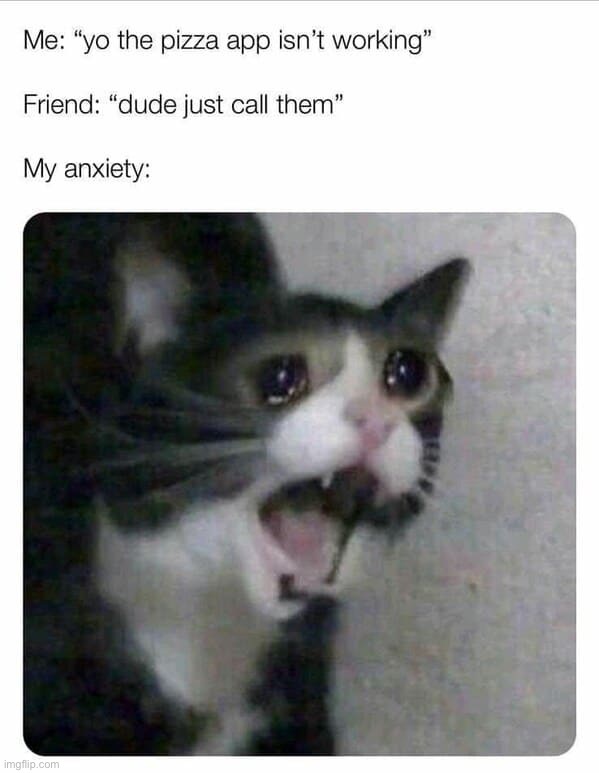 Nuuuuuu plz ;( | image tagged in memes,funny,sad cat,crying cat,lmao,pizza | made w/ Imgflip meme maker