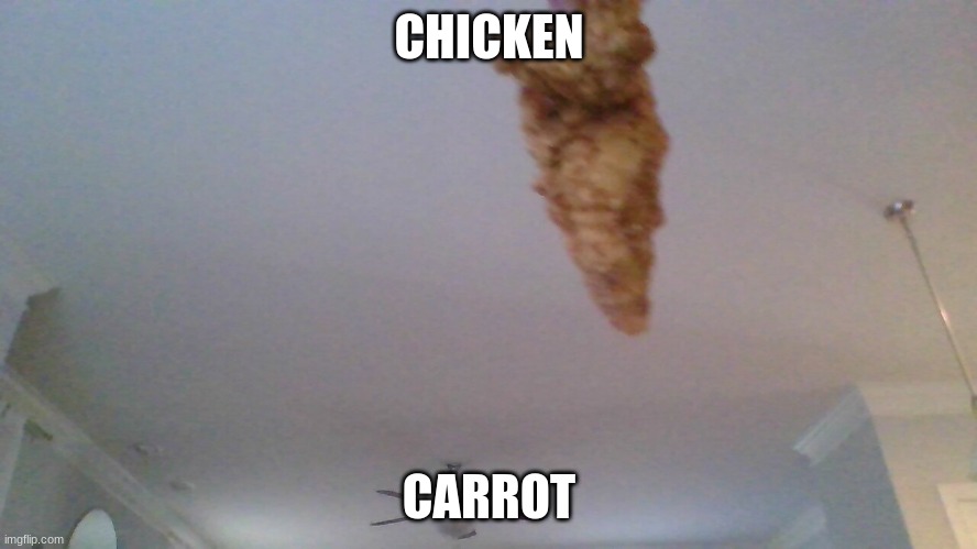 CHICKEN CARROT | CHICKEN; CARROT | image tagged in chicken,carrot | made w/ Imgflip meme maker