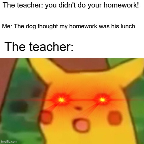 Skool | The teacher: you didn't do your homework! Me: The dog thought my homework was his lunch; The teacher: | image tagged in memes,surprised pikachu | made w/ Imgflip meme maker