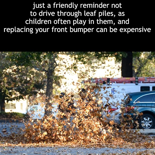 pls dont | just a friendly reminder not to drive through leaf piles, as children often play in them, and replacing your front bumper can be expensive | image tagged in leaves,children,money | made w/ Imgflip meme maker