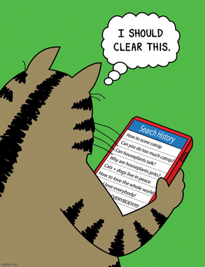 Make sure you check your cat’s search history before he deletes it! | image tagged in memes,funny,comics/cartoons | made w/ Imgflip meme maker