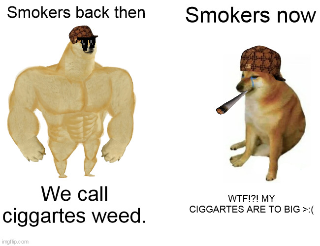 weed | Smokers back then; Smokers now; We call ciggartes weed. WTF!?! MY CIGGARTES ARE TO BIG >:( | image tagged in memes,buff doge vs cheems | made w/ Imgflip meme maker