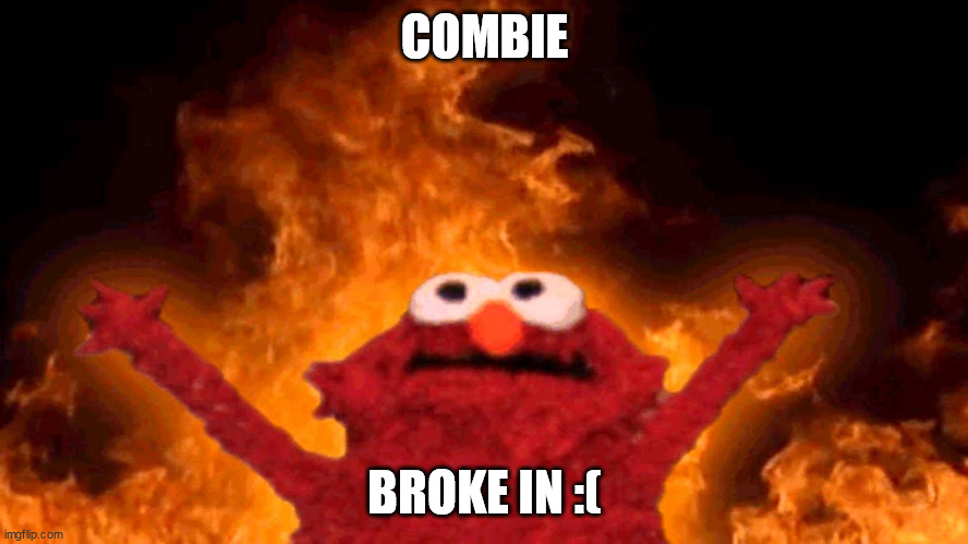 NOOOOOO!!! | COMBIE; BROKE IN :( | image tagged in elmo fire | made w/ Imgflip meme maker