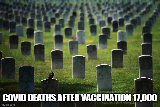 graveyard cemetary | COVID DEATHS AFTER VACCINATION 17,000 | image tagged in graveyard cemetary | made w/ Imgflip meme maker