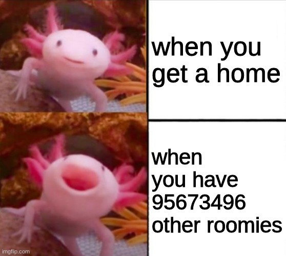 axolotl drake | when you get a home; when you have 95673496 other roomies | image tagged in axolotl drake | made w/ Imgflip meme maker