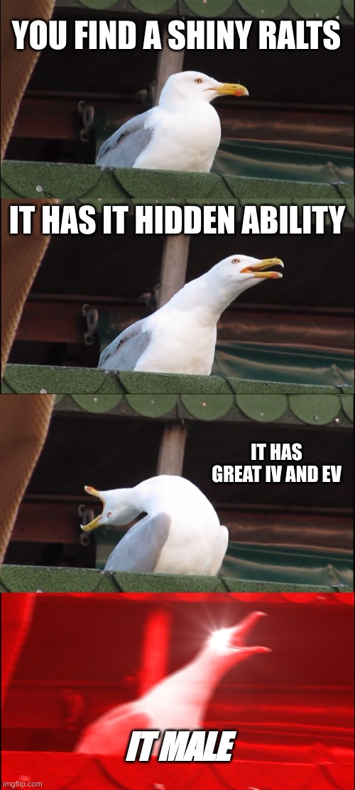 me shiny hunting | YOU FIND A SHINY RALTS; IT HAS IT HIDDEN ABILITY; IT HAS GREAT IV AND EV; IT MALE | image tagged in memes,inhaling seagull,pokemon | made w/ Imgflip meme maker