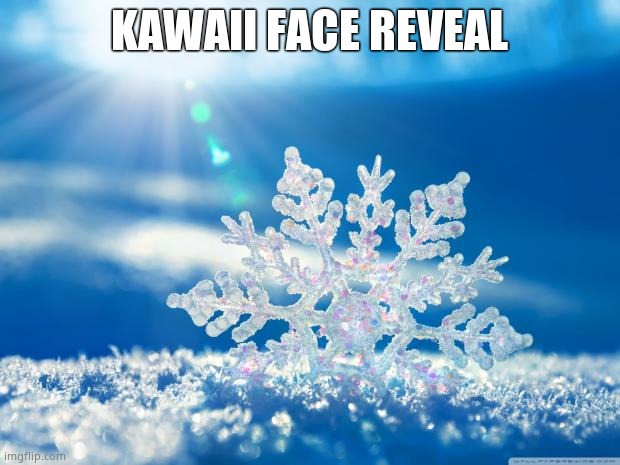 snowflake | KAWAII FACE REVEAL | image tagged in snowflake | made w/ Imgflip meme maker