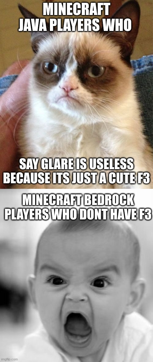 R.I.P glare | MINECRAFT JAVA PLAYERS WHO; SAY GLARE IS USELESS BECAUSE ITS JUST A CUTE F3; MINECRAFT BEDROCK PLAYERS WHO DONT HAVE F3 | image tagged in memes,grumpy cat,angry baby | made w/ Imgflip meme maker