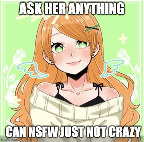 i know ive done this before in roleplay but still (yes not canon [her name is clara btw]) | ASK HER ANYTHING; CAN NSFW JUST NOT CRAZY | made w/ Imgflip meme maker