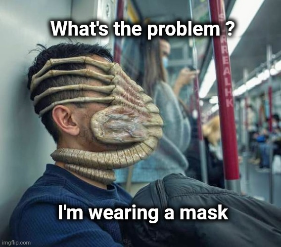 It's Halloween every day | What's the problem ? I'm wearing a mask | image tagged in face mask,alien,we don't do that here,scary | made w/ Imgflip meme maker