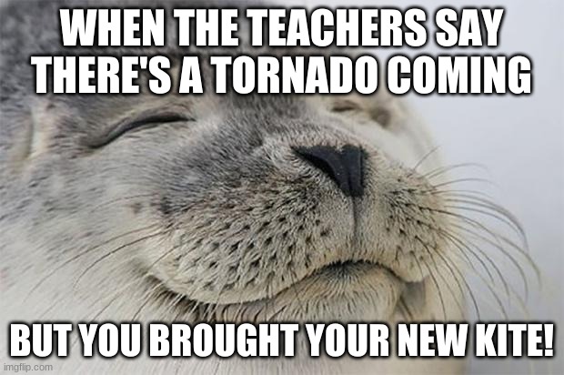 Satisfied Seal | WHEN THE TEACHERS SAY THERE'S A TORNADO COMING; BUT YOU BROUGHT YOUR NEW KITE! | image tagged in memes,satisfied seal | made w/ Imgflip meme maker