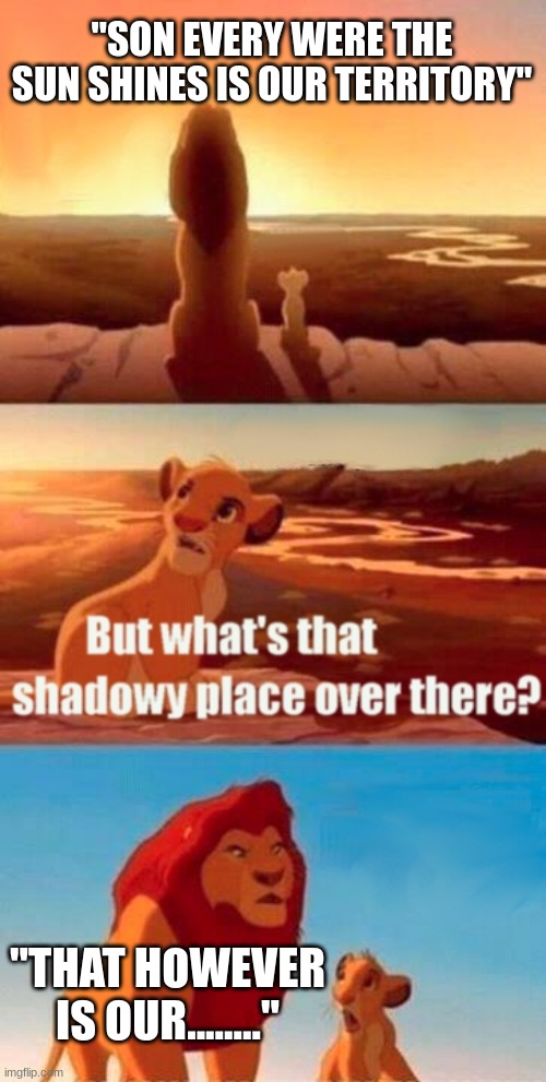 Simba Shadowy Place Meme | "SON EVERY WERE THE SUN SHINES IS OUR TERRITORY"; "THAT HOWEVER IS OUR........" | image tagged in memes,simba shadowy place | made w/ Imgflip meme maker