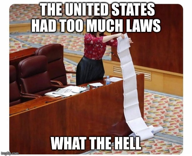 what the hell | THE UNITED STATES HAD TOO MUCH LAWS; WHAT THE HELL | image tagged in long read | made w/ Imgflip meme maker