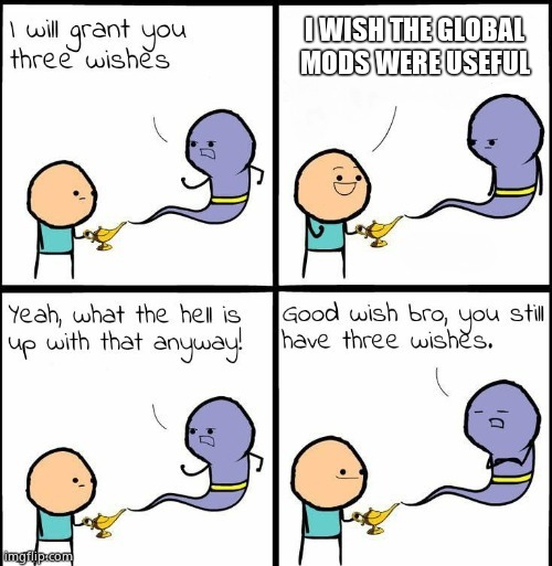 You Still Have 3 Wishes | I WISH THE GLOBAL MODS WERE USEFUL | image tagged in you still have 3 wishes | made w/ Imgflip meme maker