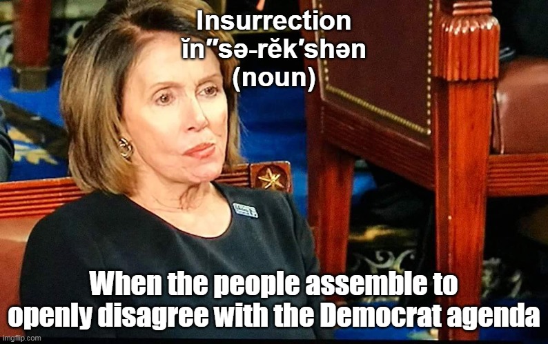 January 6th- we all died that day- it was awful! |  Insurrection
ĭn″sə-rĕk′shən
(noun); When the people assemble to openly disagree with the Democrat agenda | image tagged in pelosi,january | made w/ Imgflip meme maker