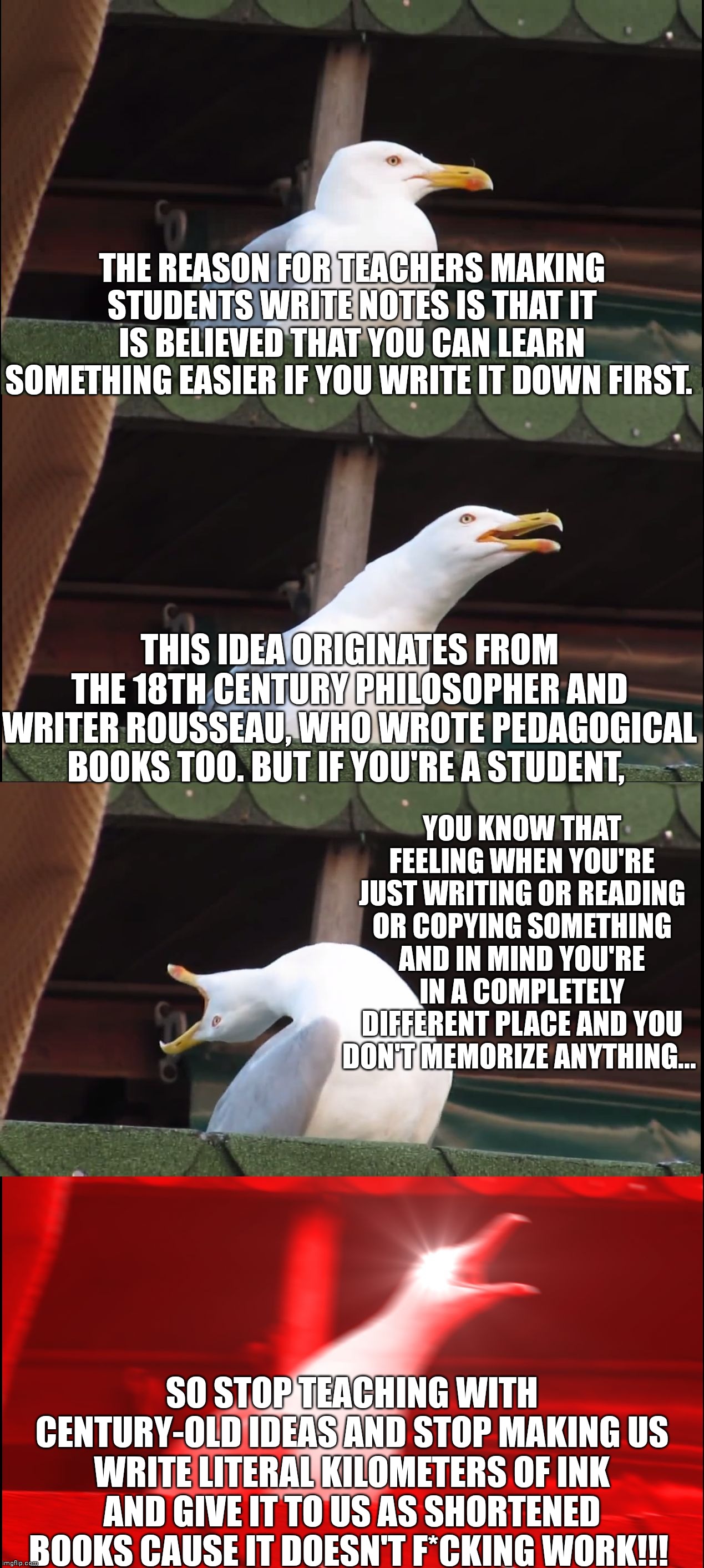 Educational Seagull | THE REASON FOR TEACHERS MAKING STUDENTS WRITE NOTES IS THAT IT IS BELIEVED THAT YOU CAN LEARN SOMETHING EASIER IF YOU WRITE IT DOWN FIRST. THIS IDEA ORIGINATES FROM THE 18TH CENTURY PHILOSOPHER AND WRITER ROUSSEAU, WHO WROTE PEDAGOGICAL BOOKS TOO. BUT IF YOU'RE A STUDENT, YOU KNOW THAT FEELING WHEN YOU'RE JUST WRITING OR READING OR COPYING SOMETHING AND IN MIND YOU'RE IN A COMPLETELY DIFFERENT PLACE AND YOU DON'T MEMORIZE ANYTHING... SO STOP TEACHING WITH CENTURY-OLD IDEAS AND STOP MAKING US WRITE LITERAL KILOMETERS OF INK AND GIVE IT TO US AS SHORTENED BOOKS CAUSE IT DOESN'T F*CKING WORK!!! | image tagged in memes,inhaling seagull | made w/ Imgflip meme maker