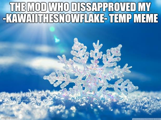 snowflake | THE MOD WHO DISSAPPROVED MY -KAWAIITHESNOWFLAKE- TEMP MEME | image tagged in snowflake | made w/ Imgflip meme maker