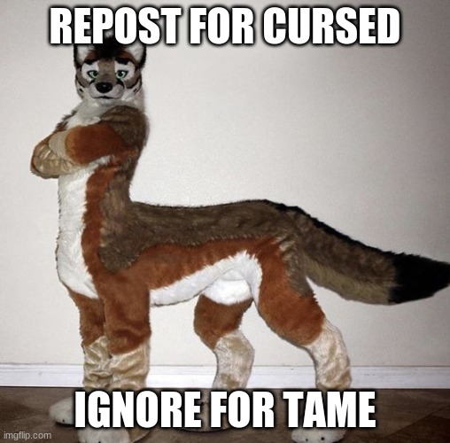 REPOST FOR CURSED; IGNORE FOR TAME | made w/ Imgflip meme maker