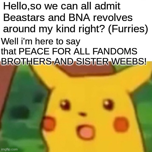 You guys accept us right? | Hello,so we can all admit Beastars and BNA revolves around my kind right? (Furries); Well i'm here to say that PEACE FOR ALL FANDOMS BROTHERS AND SISTER WEEBS! | image tagged in memes,surprised pikachu | made w/ Imgflip meme maker