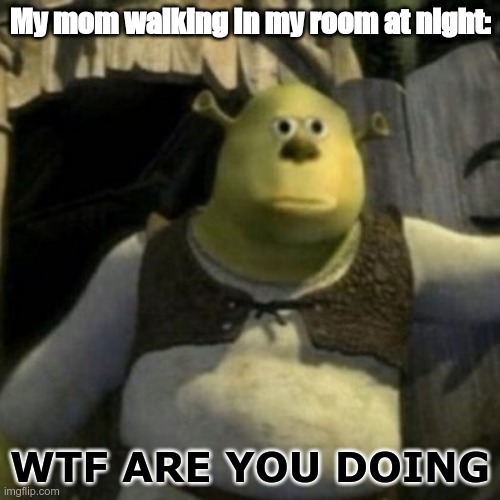 Shrek | My mom walking in my room at night:; WTF ARE YOU DOING | image tagged in shrek | made w/ Imgflip meme maker
