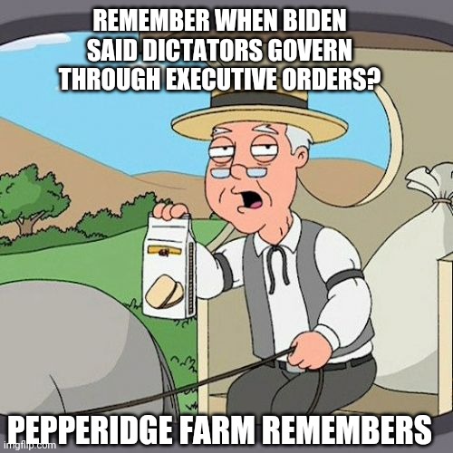 Just say 'No' to Brandon Joe. |  REMEMBER WHEN BIDEN SAID DICTATORS GOVERN THROUGH EXECUTIVE ORDERS? PEPPERIDGE FARM REMEMBERS | image tagged in memes,pepperidge farm remembers,lets go,brandon,dictator,stupid liberals | made w/ Imgflip meme maker