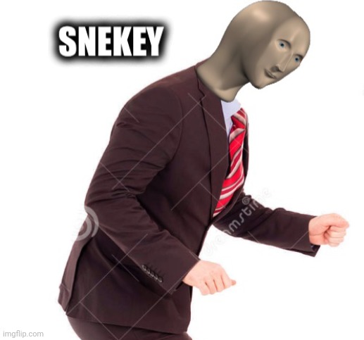 Snekey meme | image tagged in snekey meme | made w/ Imgflip meme maker