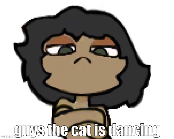 cinny dancing | guys the cat is dancing | made w/ Imgflip meme maker