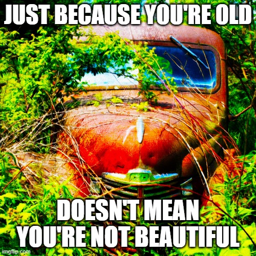 Old Truck Painting | JUST BECAUSE YOU'RE OLD; DOESN'T MEAN YOU'RE NOT BEAUTIFUL | image tagged in old truck painting | made w/ Imgflip meme maker