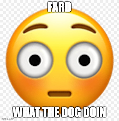 blush | FARD; WHAT THE DOG DOIN | image tagged in blush | made w/ Imgflip meme maker