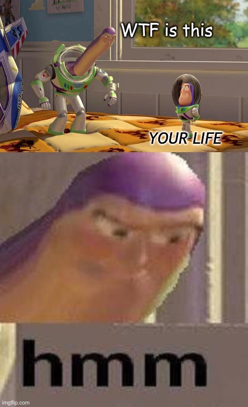 WTF- YOUR LIFE   hmm | WTF is this; YOUR LIFE | image tagged in buzz lightyear hmm | made w/ Imgflip meme maker