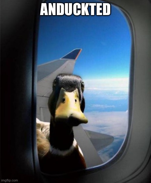 Abduction | ANDUCKTED | image tagged in duck on plane wing,abduction,kidnap,ducknap,abducktion | made w/ Imgflip meme maker