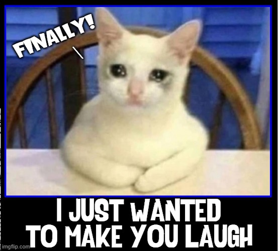 Sad Kitty was trying her best! | FINALLY!
    \; I JUST WANTED TO MAKE YOU LAUGH | image tagged in vince vance,cats,sad cat,funny cat memes,i love cats,meow | made w/ Imgflip meme maker