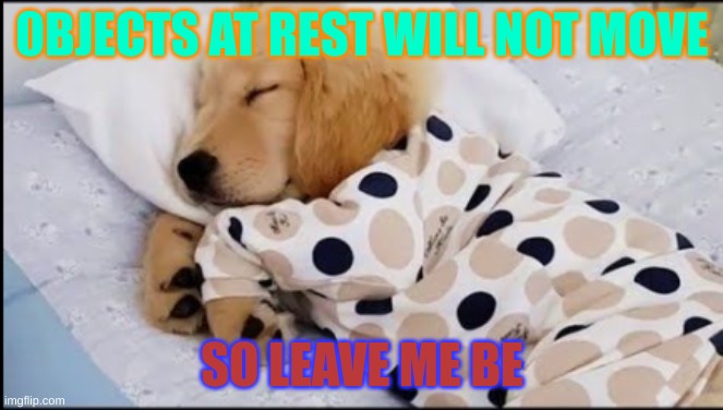 Inertia? | 0BJECTS AT REST WILL NOT MOVE; SO LEAVE ME BE | image tagged in cute animals | made w/ Imgflip meme maker