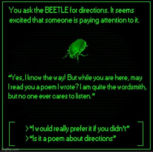 Beetle | made w/ Imgflip meme maker