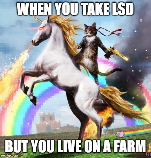 somthing like that | WHEN YOU TAKE LSD; BUT YOU LIVE ON A FARM | image tagged in memes,welcome to the internets | made w/ Imgflip meme maker