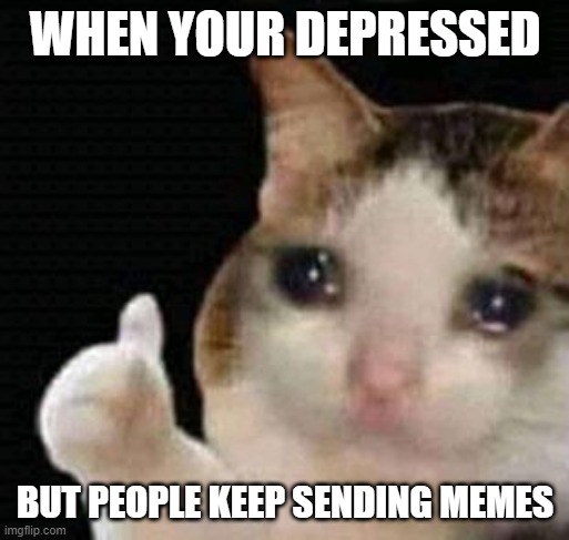 True tho | WHEN YOUR DEPRESSED; BUT PEOPLE KEEP SENDING MEMES | image tagged in sad thumbs up cat | made w/ Imgflip meme maker