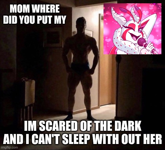 ignoring the haters | MOM WHERE DID YOU PUT MY; IM SCARED OF THE DARK AND I CAN'T SLEEP WITH OUT HER | image tagged in mom where did you put my | made w/ Imgflip meme maker