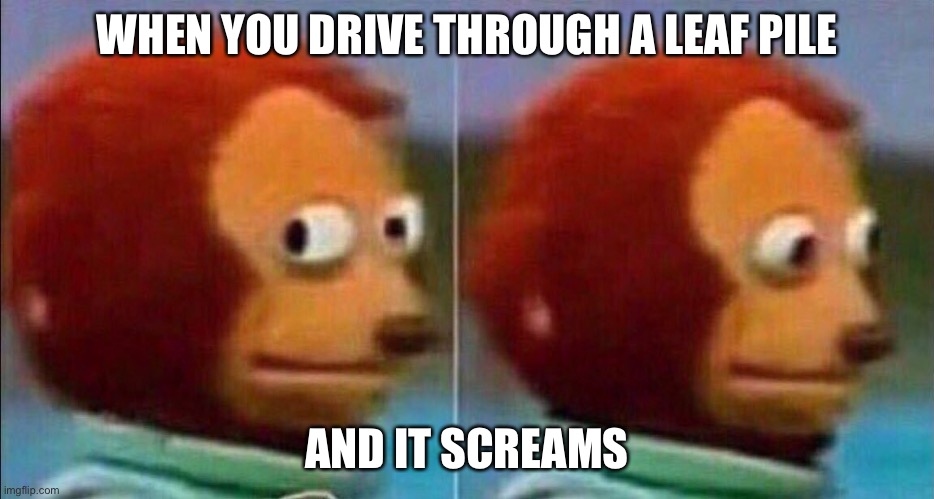 Screaming leaves | WHEN YOU DRIVE THROUGH A LEAF PILE; AND IT SCREAMS | image tagged in monkey looking away,driving,leafy | made w/ Imgflip meme maker