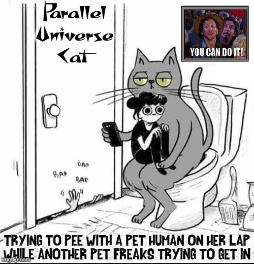 Welcome to the World of Parallel Universe Cat | Parallel Universe
Cat; TRYING TO PEE WITH A PET HUMAN ON HER LAP
WHILE ANOTHER PET FREAKS TRYING TO GET IN | image tagged in vince vance,parallel universe,cats,you can do it,bathroom,memes | made w/ Imgflip meme maker
