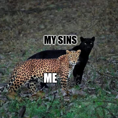 I cannot deny | MY SINS; ME | image tagged in sin,dank,christian,memes,r/dankchristianmemes | made w/ Imgflip meme maker
