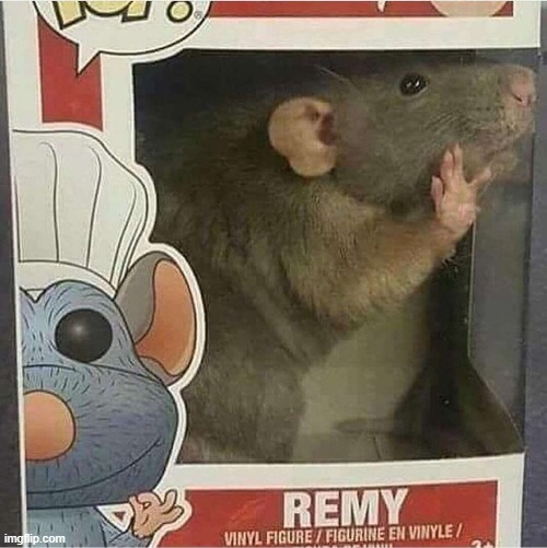 Oh crap it's real | made w/ Imgflip meme maker