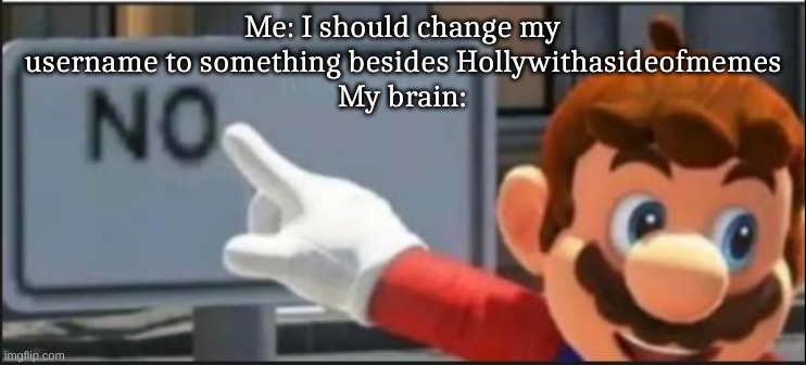 Mario No | Me: I should change my username to something besides Hollywithasideofmemes
My brain: | image tagged in mario no | made w/ Imgflip meme maker