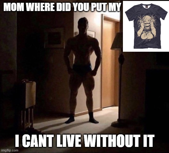 Mom where did you put my | MOM WHERE DID YOU PUT MY; I CANT LIVE WITHOUT IT | image tagged in mom where did you put my | made w/ Imgflip meme maker