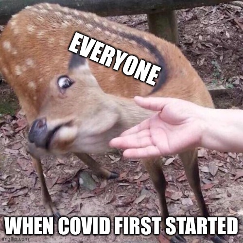 nope | EVERYONE; WHEN COVID FIRST STARTED | image tagged in nope | made w/ Imgflip meme maker