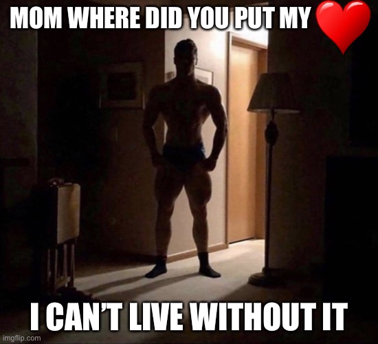 this is literally true | MOM WHERE DID YOU PUT MY; I CAN’T LIVE WITHOUT IT | image tagged in mom where did you put my | made w/ Imgflip meme maker