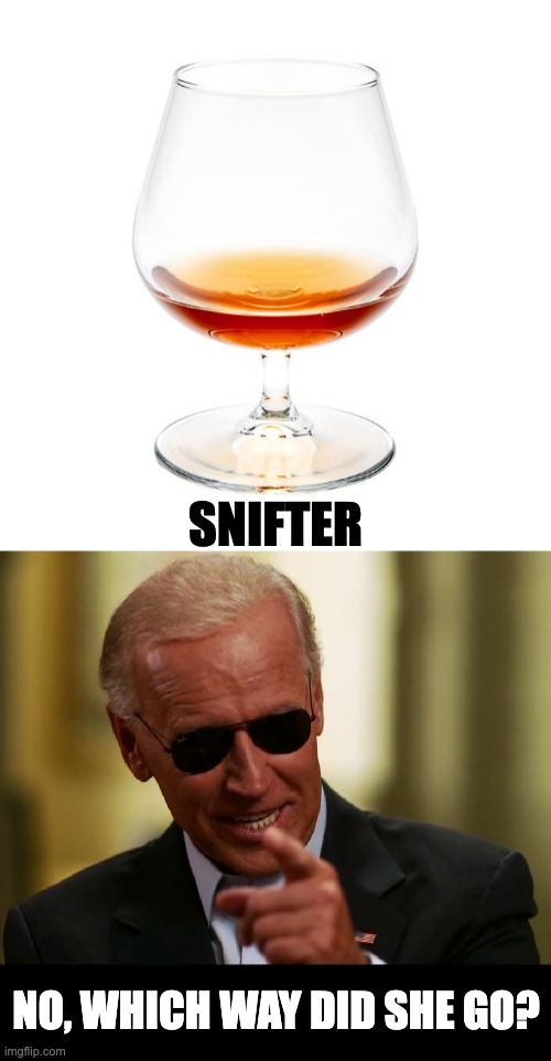 Snifter | SNIFTER; NO, WHICH WAY DID SHE GO? | image tagged in cool joe biden | made w/ Imgflip meme maker