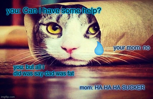 cat buritto but sad | you: Can i have some help? your mom: no; you: but all i did was say dad was fat; mom: HA HA HA SUCKER | image tagged in sad cat | made w/ Imgflip meme maker