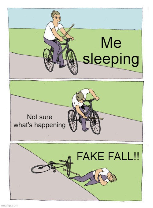 Don't you hate it when this happens too? | Me sleeping; Not sure what's happening; FAKE FALL!! | image tagged in memes,bike fall | made w/ Imgflip meme maker