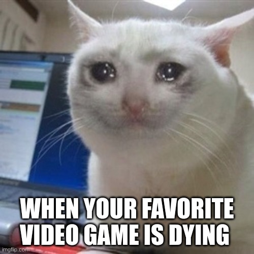 dying video game meme | WHEN YOUR FAVORITE VIDEO GAME IS DYING | image tagged in crying cat | made w/ Imgflip meme maker